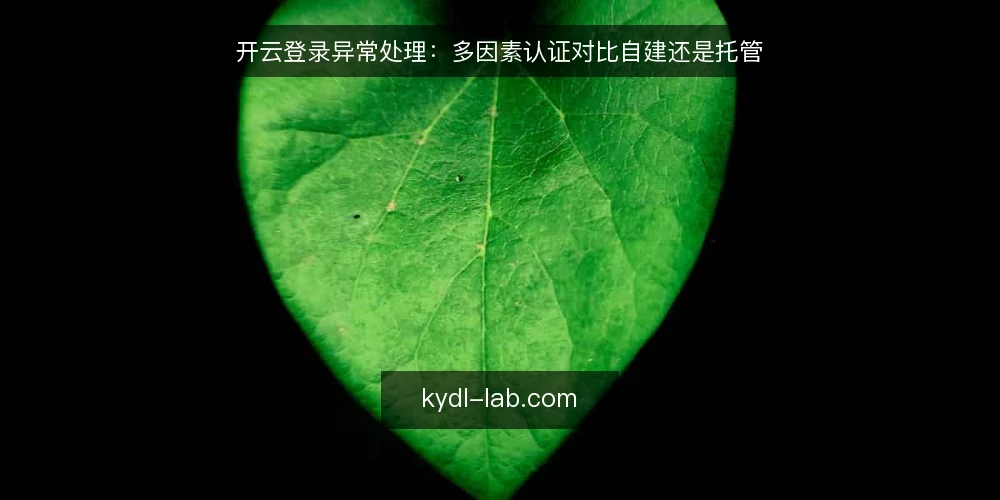 开云登录异常处理：多因素认证对比自建还是托管 — 为何现在要审计登录异常处理 配图