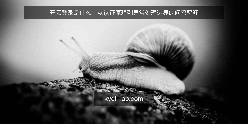 开云登录是什么：从认证原理到异常处理边界的问答解释 — 先厘清：开云登录到底指什么 配图